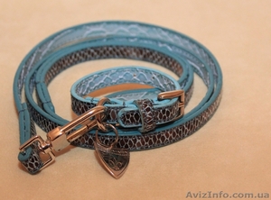 Элитные аксессуары для кошек и собак #841086