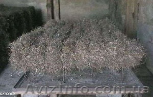 Камка утеплитель крымский продам  Львовская область  утеплитель из водорослей #838637