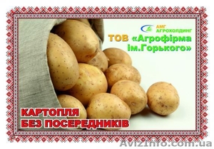 Агрофирма им.Горького #837860