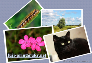 Фотопечать недорого Оцифровка видео Фотокерамика #844994