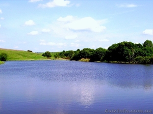 продам 1к кв пСтрелечье #835786