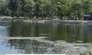 Срочно 2 участка в пгт Велика Багачка под строительство #839021