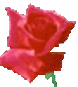 Харьков строительство и ремонт #833970