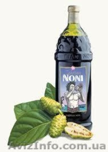 Нони в Украине,  моринда,  сок нони #835475