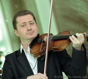 Скрипач на свадьбу #842207