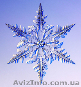 Антиморозная добавка #844213