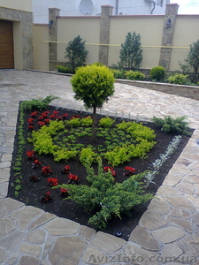 Ландшафтное озеленение #844702