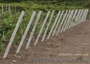 Столбики для винограда #842605