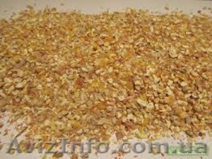 Куплю кукурузу,  пшеницу,  ячмень,  соя,  зерно,  фураж,  зерноотходы,  битую #836285