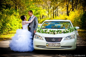 Фотограф на свдаьбу ,  видеооператор #871634