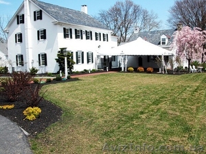 Реставрация  газонов #853970