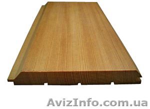 Сибирская лиственница Харьков #857887