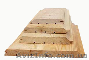 Сибирская лиственница Запорожье #857905