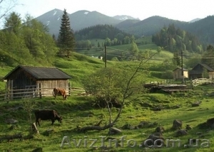 Водные туры,  2013 #860103