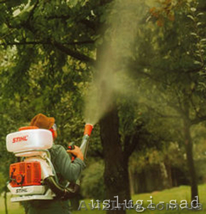Обработка сада. Химическое опрыскивание деревьев Киев и область #855791