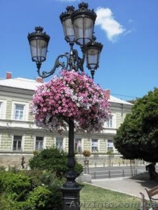 Ампельная петуния,  бакопа и портулак в кашпо. #856341