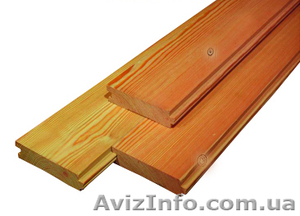 Сибирская лиственница Николаев #857929