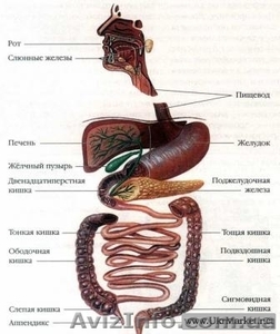 Чистка толстого кишечника - Гидроколонотерапия!! #864981