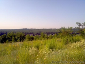 Земля 18.7 соток в Ходосовка (Ходосеевка). торг #861968