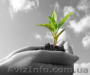 Средства Защиты Растений (СЗР) от мировых производителей #863426