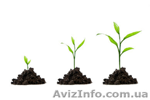 Бизнес консалтинг по увеличению продаж  #866921