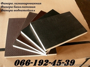 Фанера  бакелизированная,  ламинированная. #857979