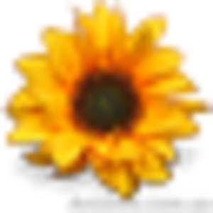 Oнлайн-магазин побутової хімії 