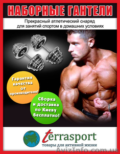 Гантели,  спортивно-тренировочное оборудование #800532