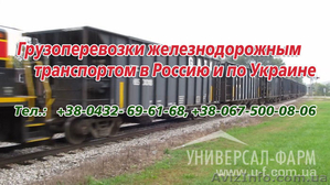 Грузоперевозки в Российскую федерацию  #868272