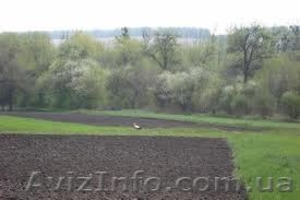 Обменяю 2 га земли на авто не старше 2005 года. #871842