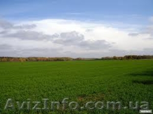 Продам пай 5.40 га. или обменяю на жиле в Кировограде. #871837