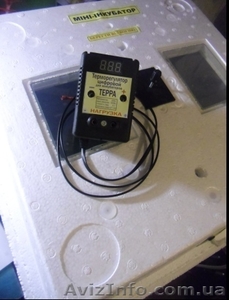 Инструменты для разведения птицы  #856198