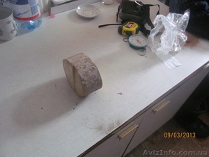 Продам фрагмент бивня мамонта #863286