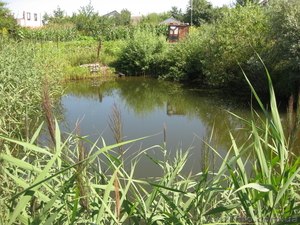 Продам дачный участок в Березанке #865409