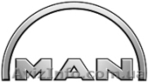 Продам запчасти для авто DAF,  MAN,  IVECO,  Renault,  Mersedes #854989