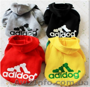 Одежда для собак мелких пород в ассортименте #870991