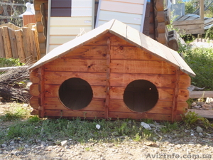 Собачьи будки             #852223