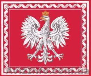 Переводчик с польского языка: #867736