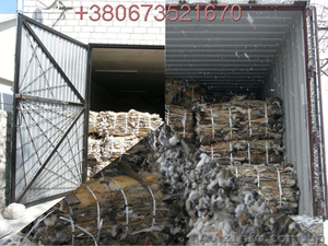 шкурки кролика, лисы. #864191