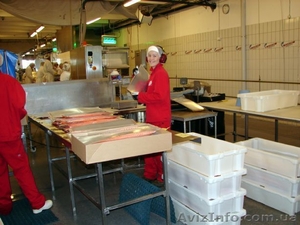 Робота в Швеції.  #858773