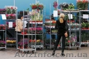 Тележки(тролли) для цветов и рассады #867995