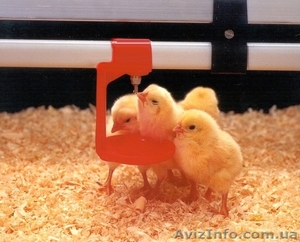 Поилка ниппельная для кур в сборе #867852