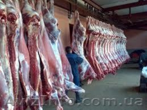 Свининые полутушки высокого качества по Украине #852773