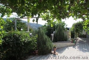 Отдых в Крыму,  с. Приветное Алуштинского района #853670