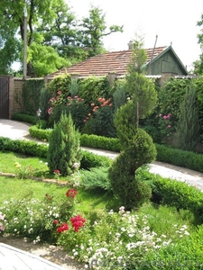 ОЗЕЛЕНЕНИЕ И САДОВЫЕ РАБОТЫ #863605