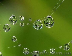 Бурения скважин #861146