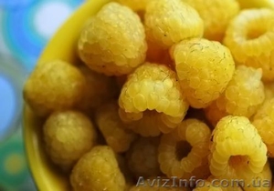 малина поляна и паранна росса #864924