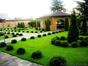 Курсы - Ландшафтный дизайн  #872965
