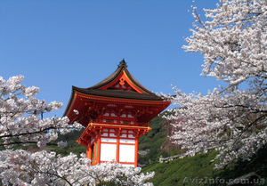 Качественные фотообои по индивидуальному заказу #887881