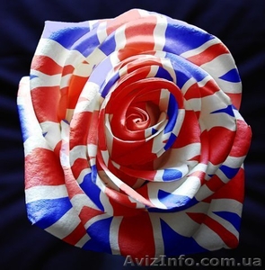 Английский для всех!!! Курсы Академия успеха #874096